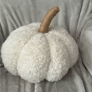 Pottery Barn Cozy Ivory Pumpkin Pillow